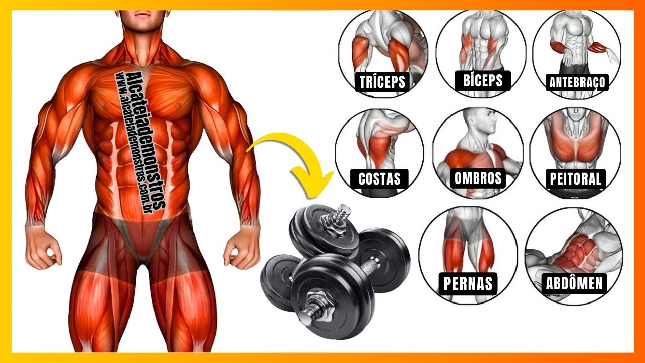 FICHA DE TREINO ABC MASCULINO INICIANTE COMPLETO COM HALTERES