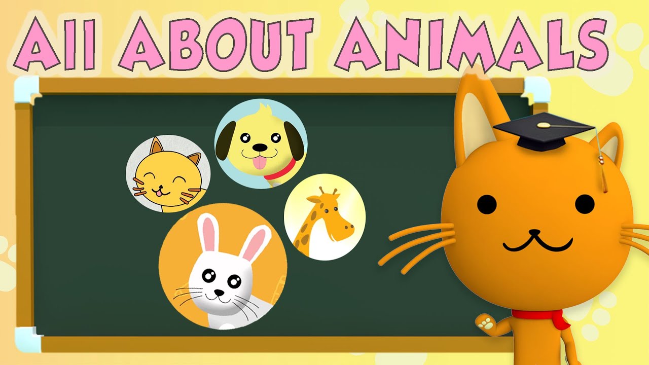 All About Animals ! | Animals Video collection for Kids Learning