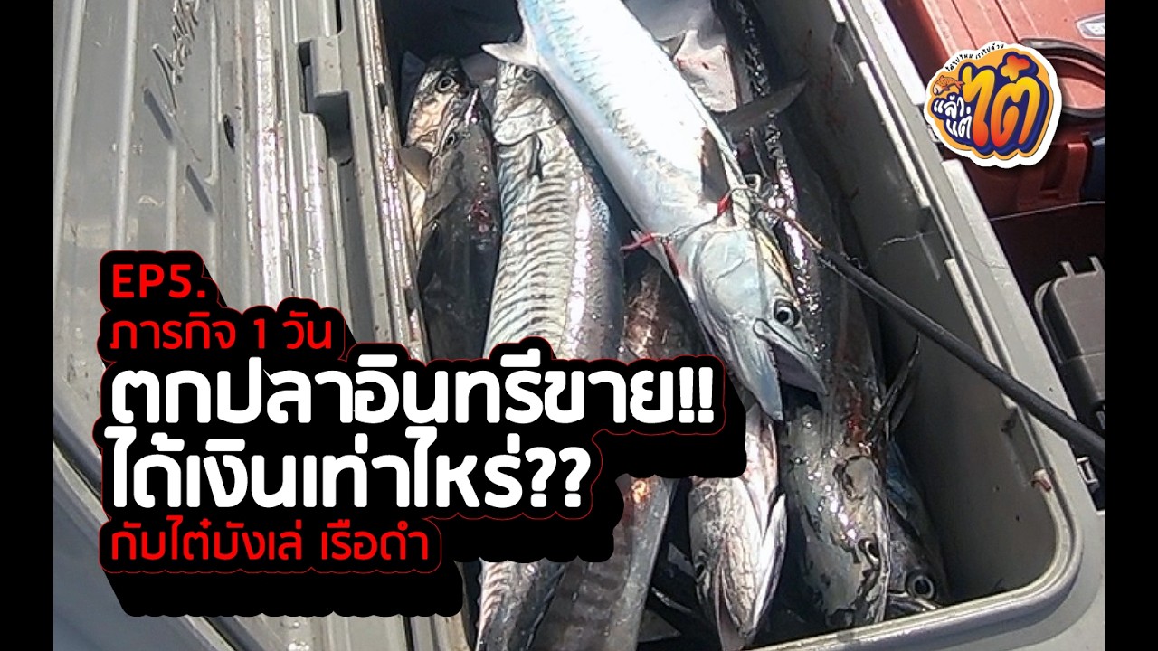 1 วันเต็ม กับภารกิจตกปลาอินทรี จะได้กี่ตัว? ขายได้เงินเท่าไหร่? ตามไปลุ้นพร้อมกันกับไต๋บังเล่ เรือดำ