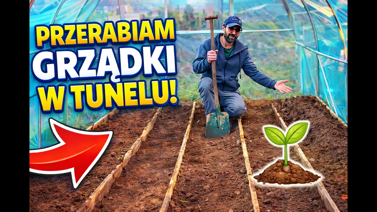 Rewolucja w tunelu foliowym! Przerabiam stare grządki