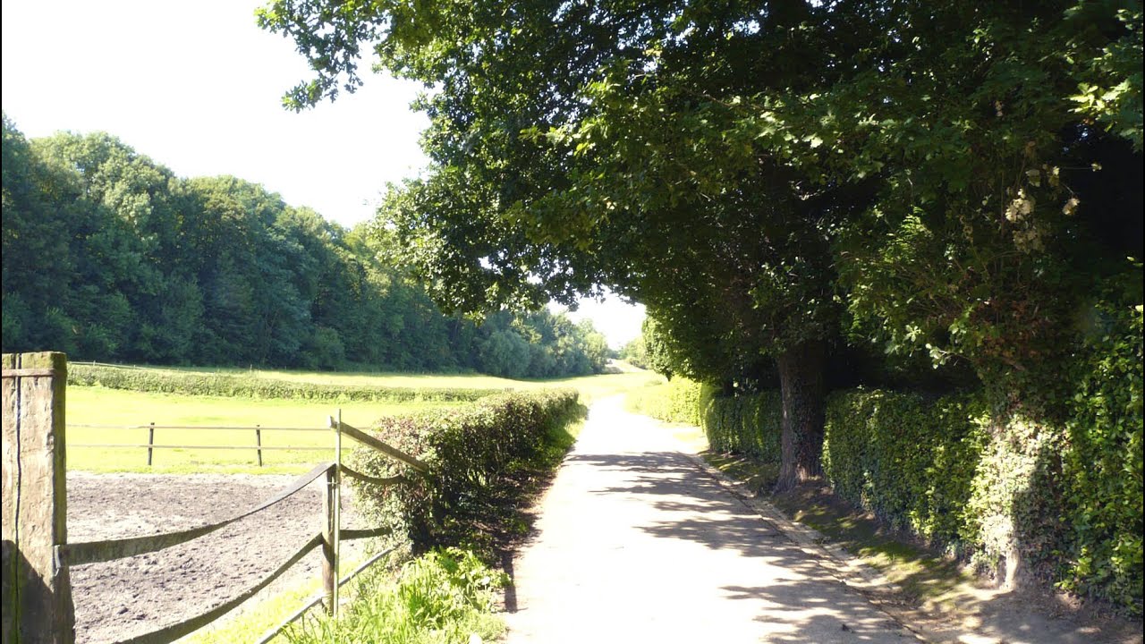 Hambos 2019 en langs pad voormalige Hammijn