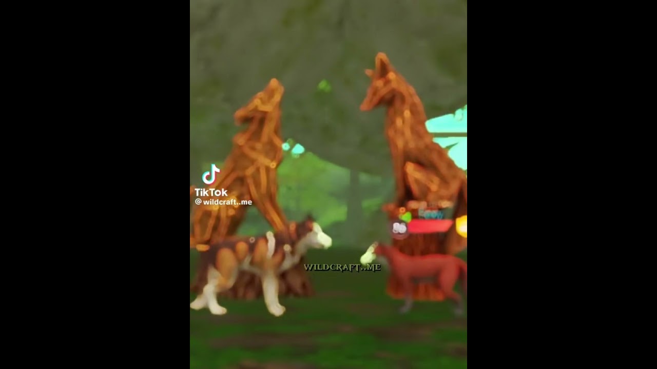 WildCraft TikTok’s  #compilation