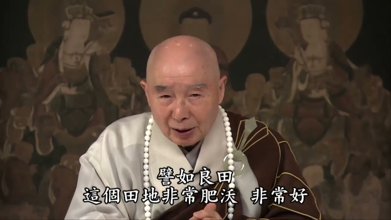 淨空法師：【雨露平等加持，大樹、小樹、小草吸收水分不一樣】