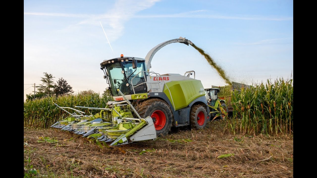 Ensilage 2017 I Claas Jaguar 960 I Cuma Cond&eacute; sur Vire .