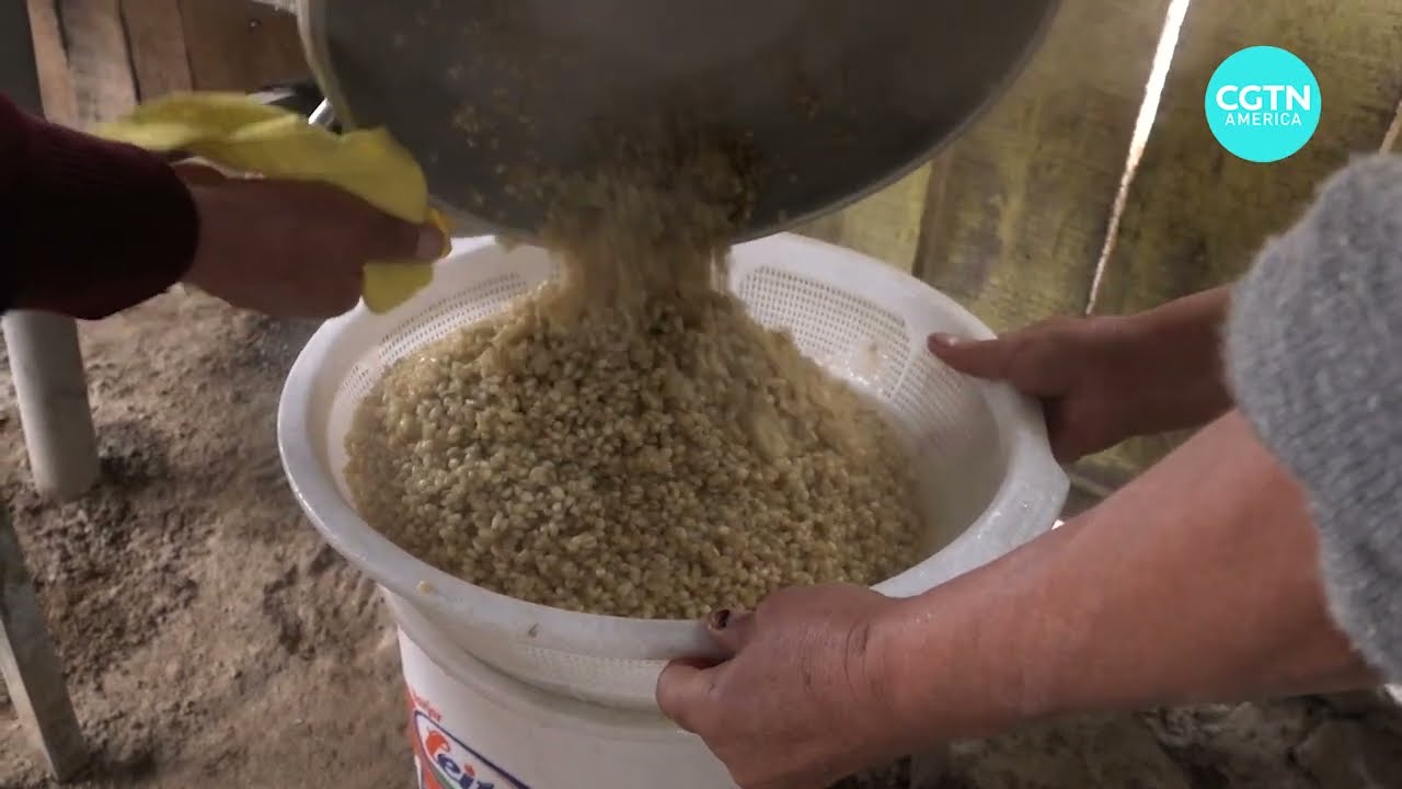 Peruvians cope with global inflation