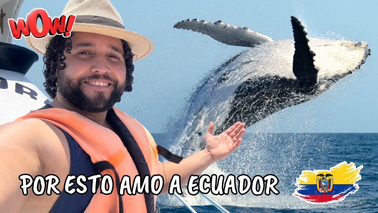 TOUR DE LAS BALLENAS🐋 EN PUERTO LÓPEZ • ECUADOR🇪🇨| ¿Son tan grandes como dicen? Parte 1/2