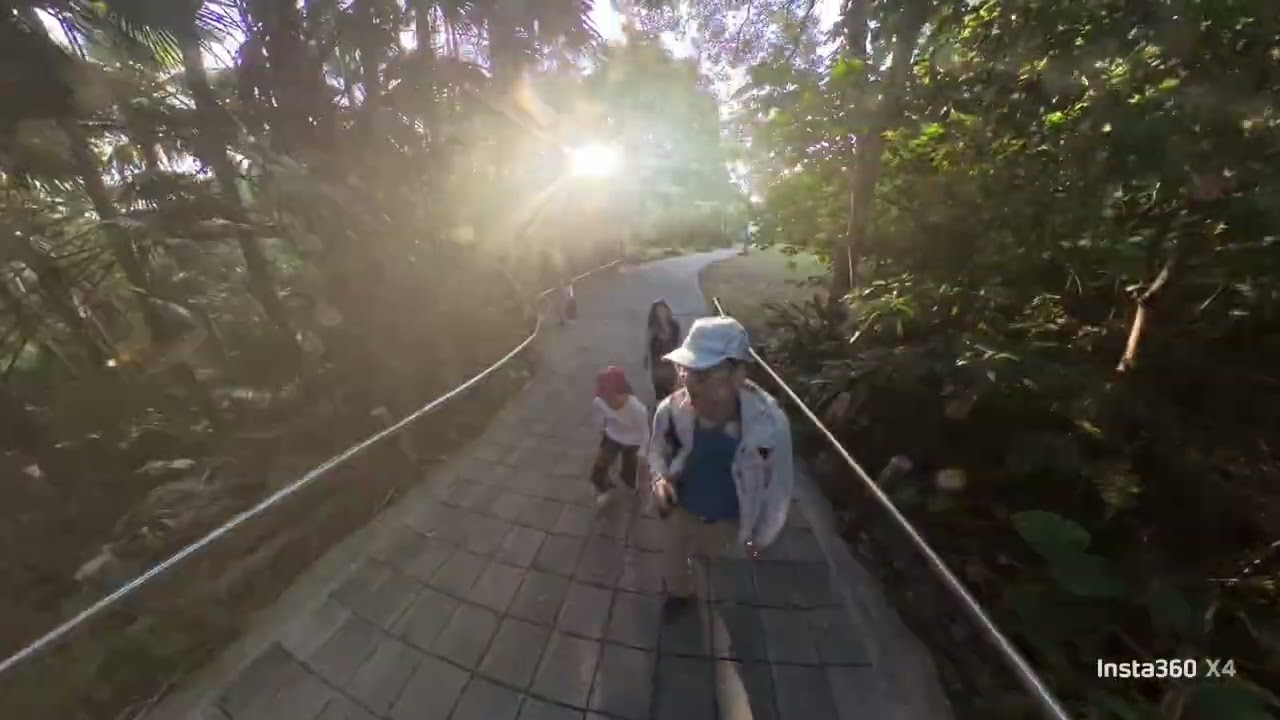 圓山文化遺跡往圓山自然公園（摩天輪北市育樂中心舊址）