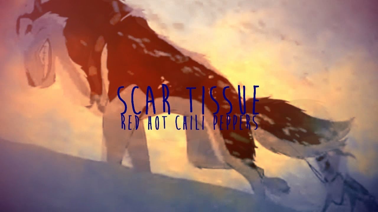 Balto | Scar Tissue