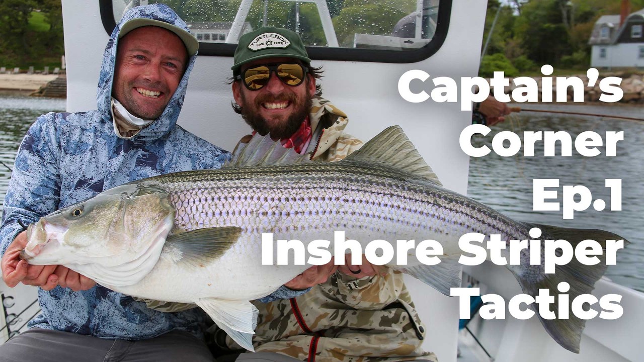 Early June Striper, Bluefish & Squid Bite | Captain’s Corner with Salt of the Earth Sportfishing