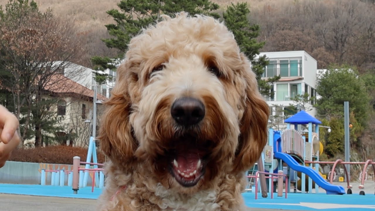 우디야 나가자!!