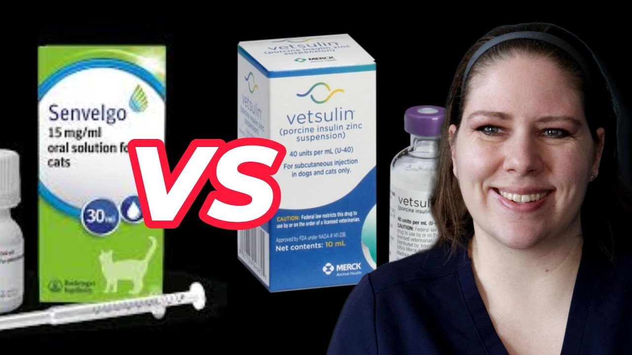 Vet Reviews Senvelgo: Is It Right for Your Diabetic Cat?