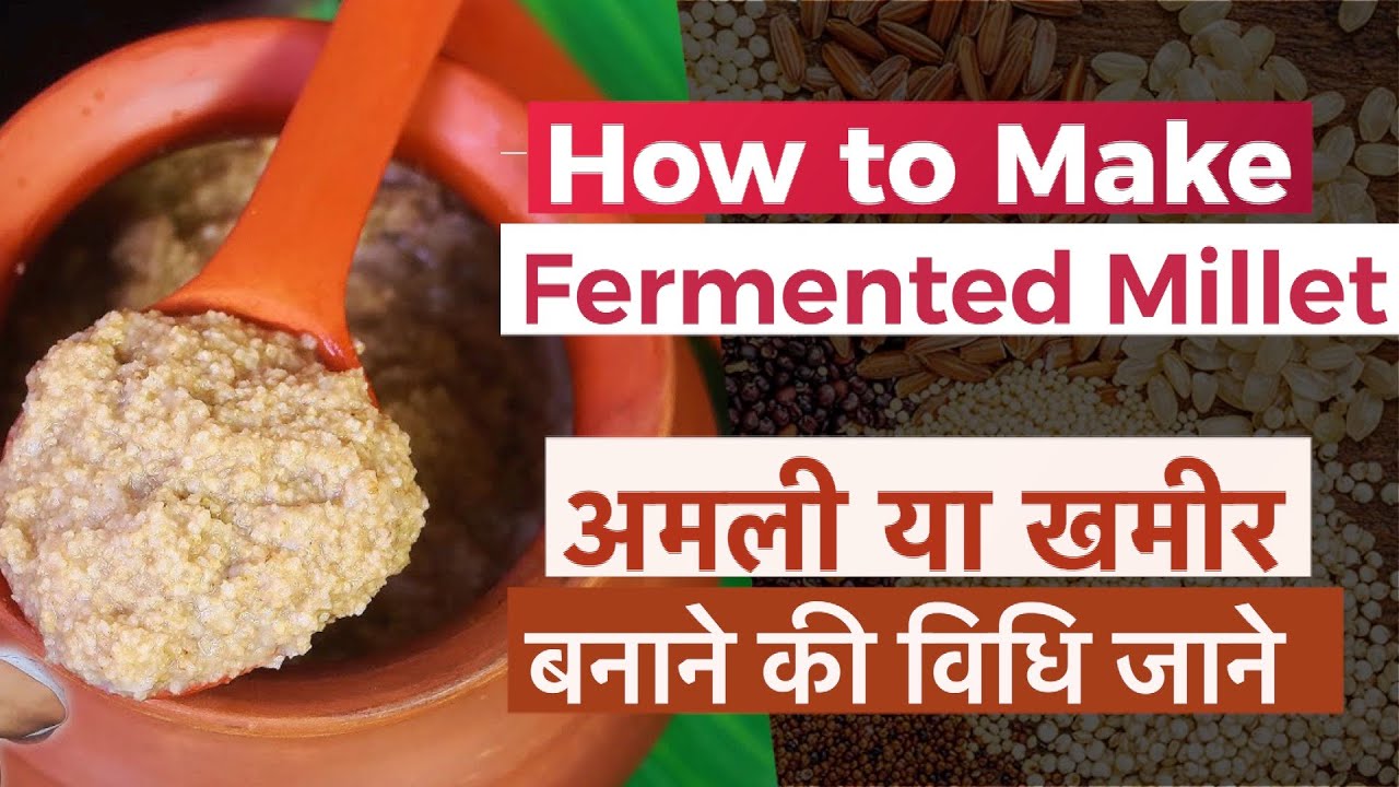How to Make Fermented Millet || अमली या खमीर बनाने की विधि || Acharya Manish || HiiMS Hospital
