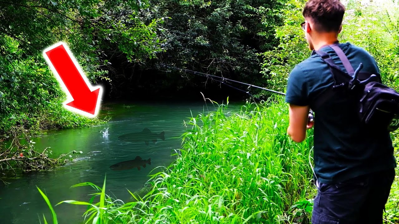 On TOMBE sur des POISSONS MIGRATEURS en pêchant la TRUITE FARIO !