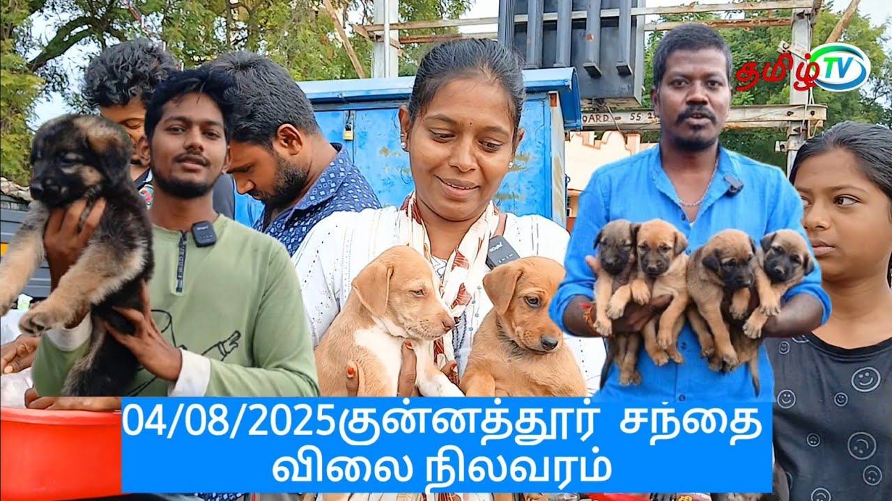 குறைந்த விலையில் நாய் குட்டிகள் வாங்க குன்னத்தூர் சந்தைக்கு வாங்க #freepuppys #tamil 