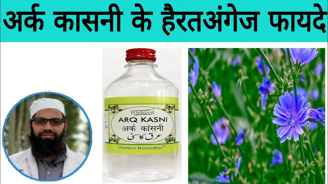 अर्क कासनी, लीवर व अंतड़ियों की सूजन दूर करे  | Benefits in Hindi, Arq Kasni Ke Fayde | Unani Gyan