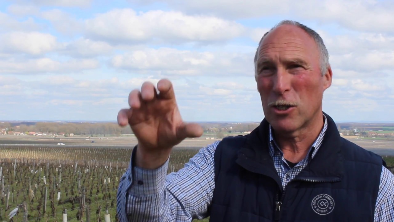 Domaine Michel Gros, Vosne Romanée, 1er cru, Les Brûlées