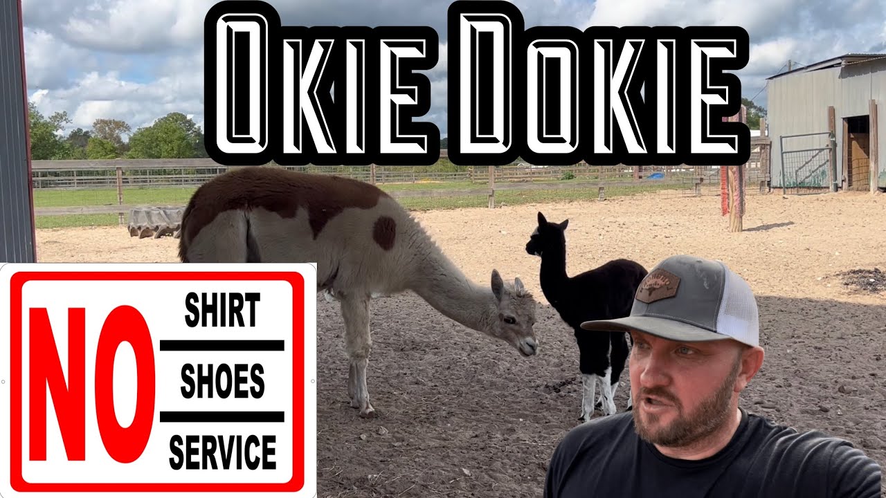 Adventures with Okie Dokie!