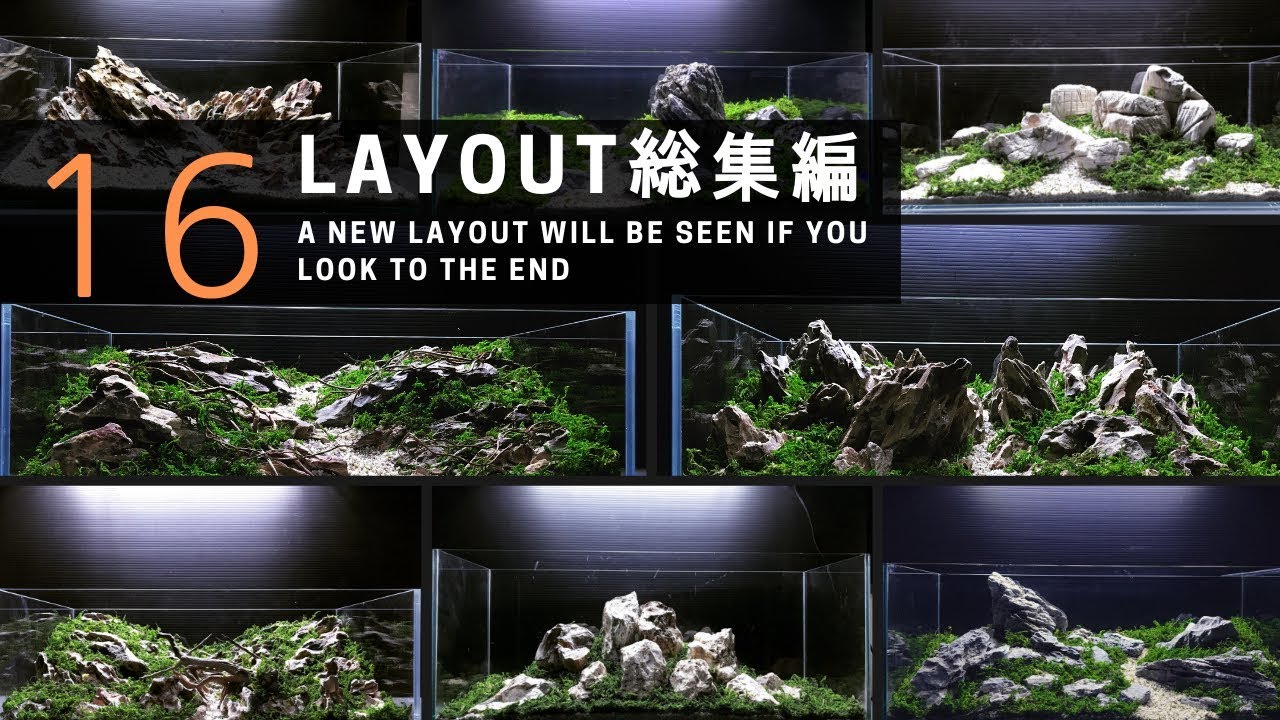 Iwagumi layout  omnibus 16 works 『石組みLAYOUT総集編』