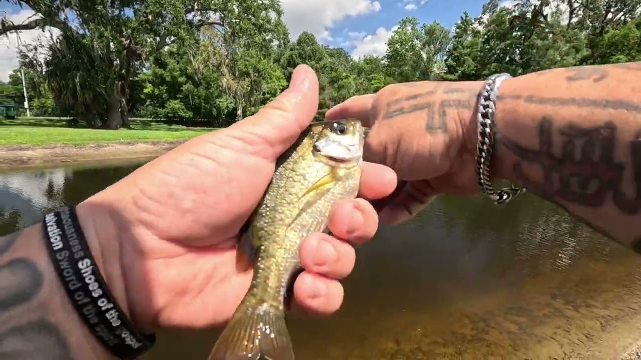 Little birthday ultralight fishing with the mule jig