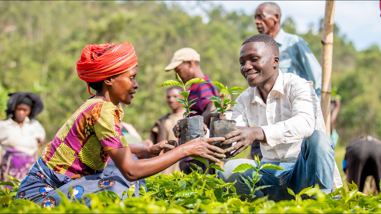 PSAC PROJECT DOCUMENTARY (Empowering Smallholder farmers - Driving Rwanda's Agri-export Success)
