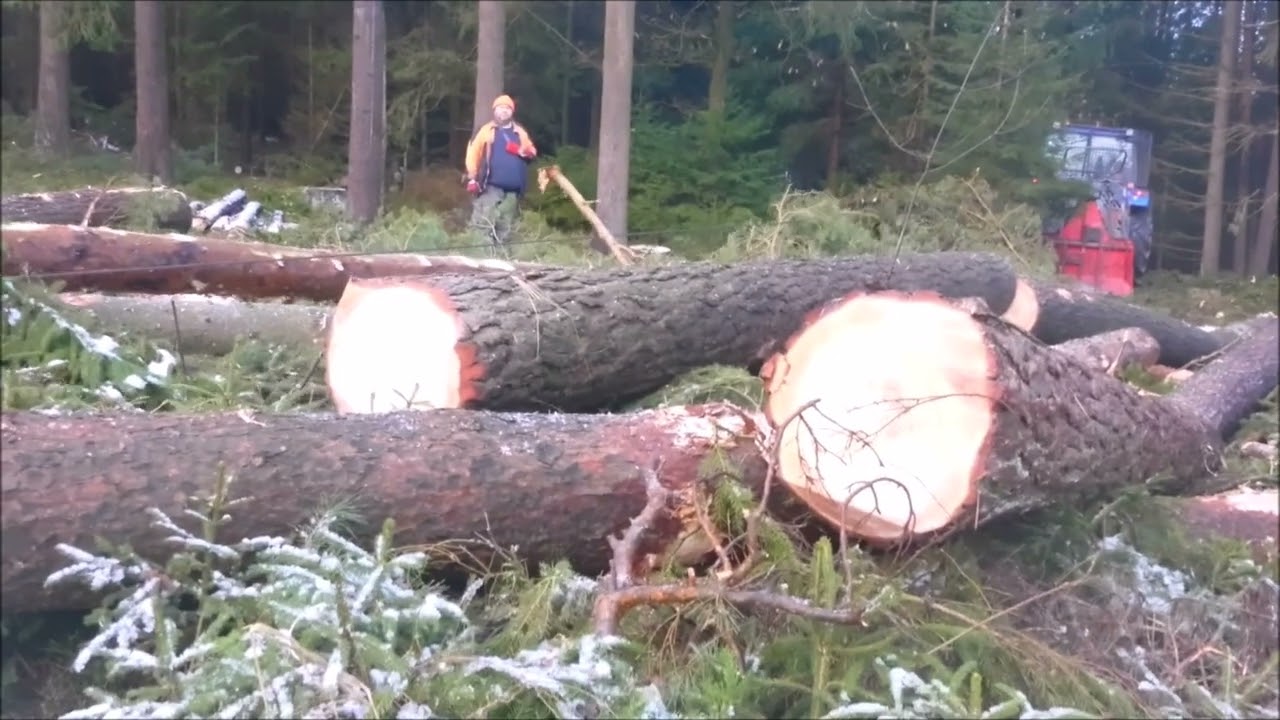 Forest job / Stihl 462 a New Holland s navijákem Krpan 6,5 EH #400