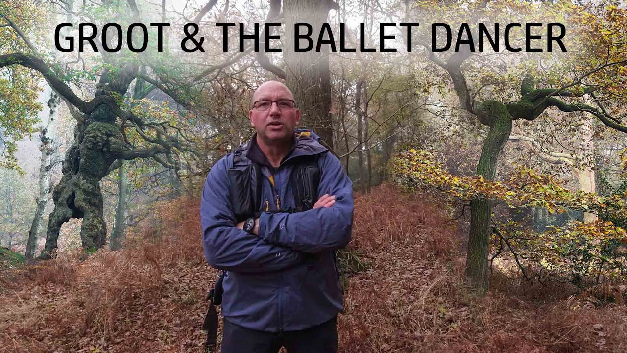 GROOT AND THE BALLET DANCER - WOODLAND PHOTOGRAPHY