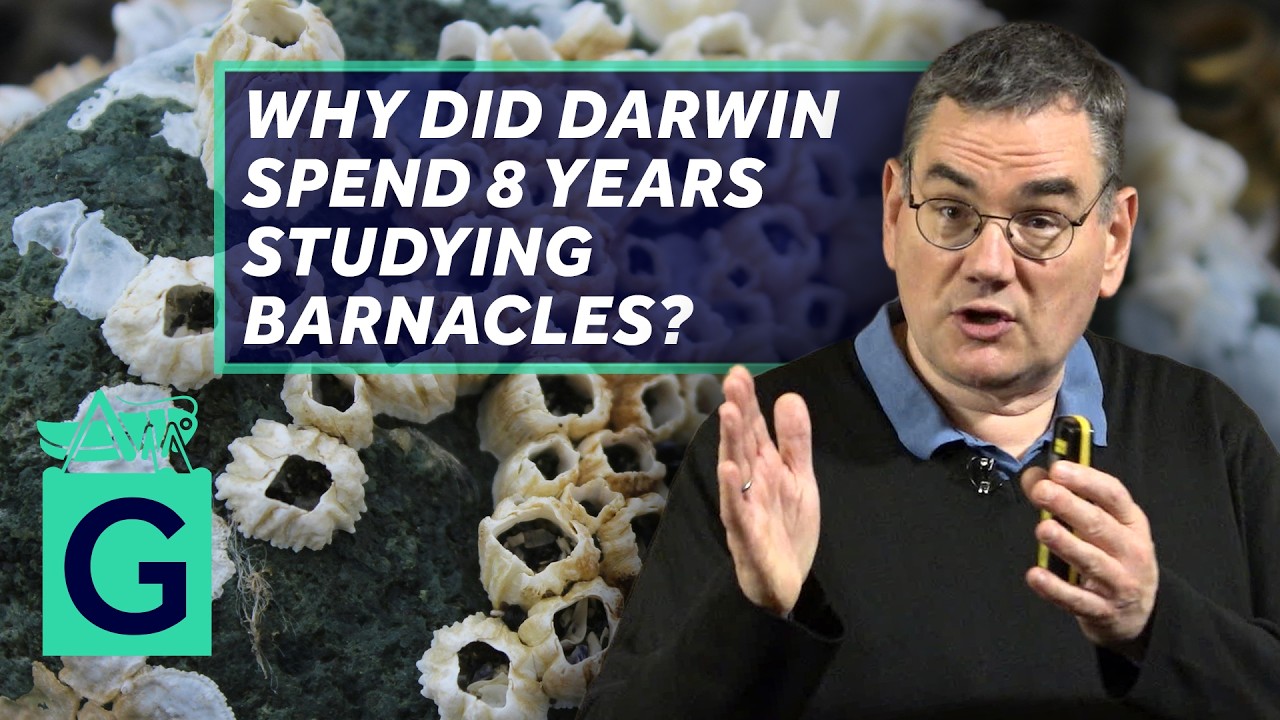 Darwin, Breeding and Barnacles