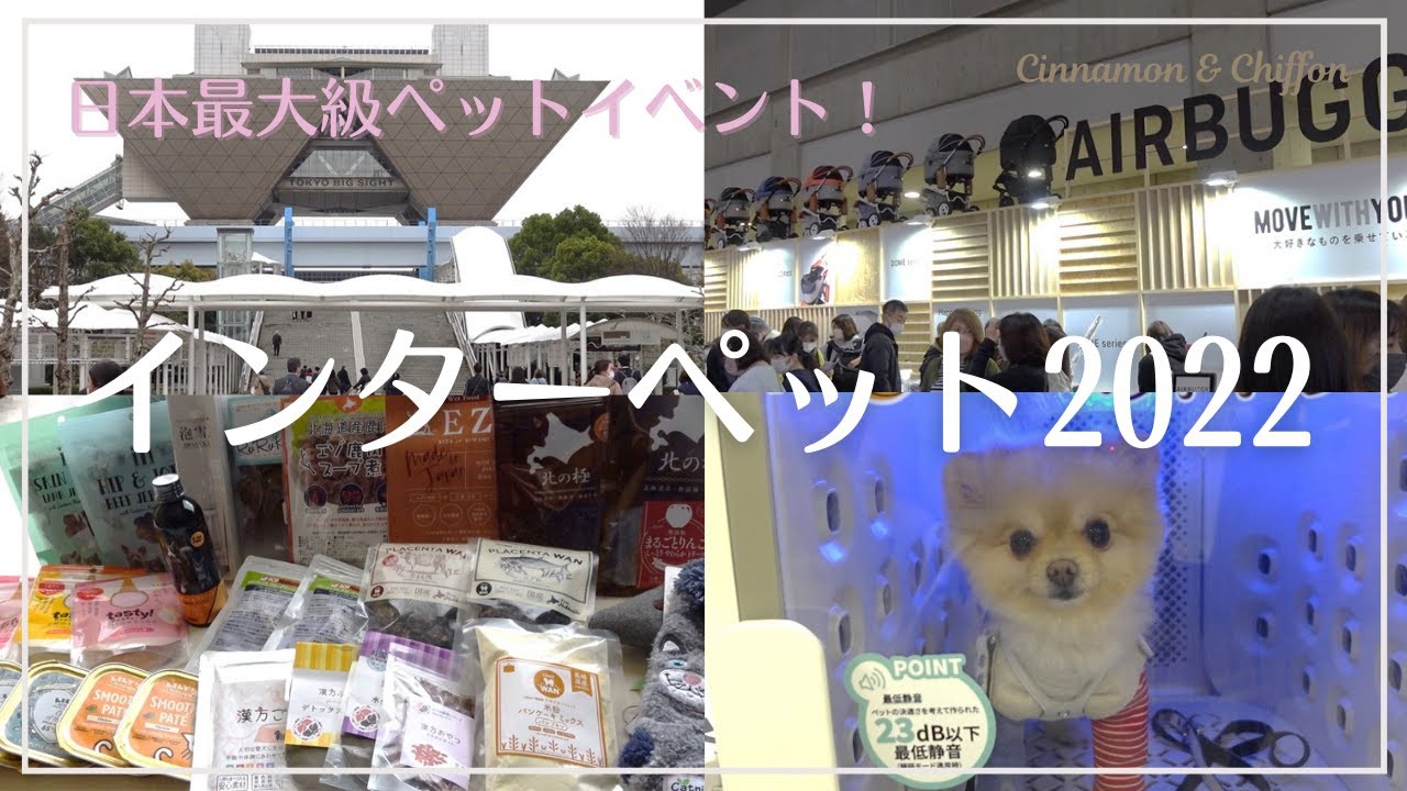 【インターペット2022】日本最大級のペットイベントにはじめて行ってきました♪ 購入品＆試供品もご紹介！