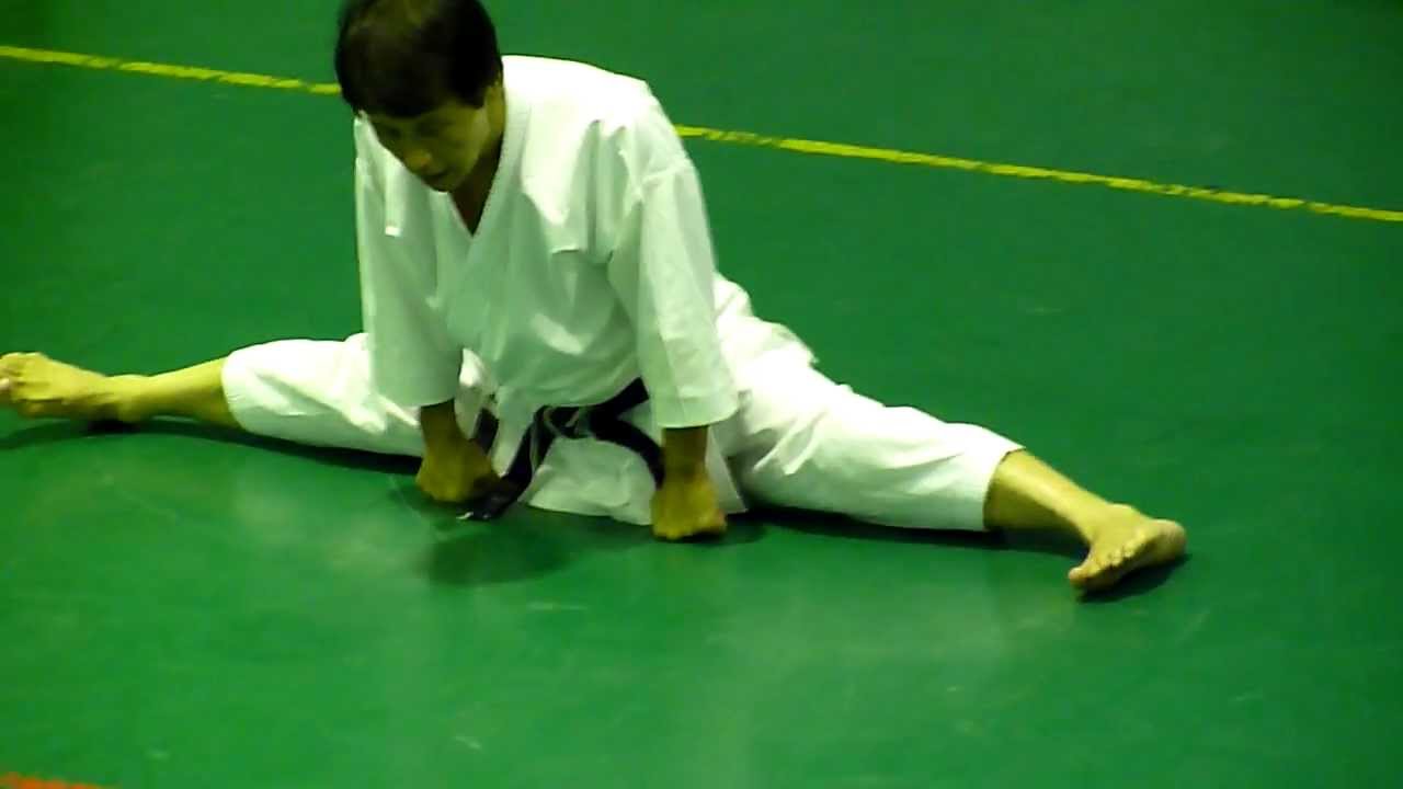 Masao Kawasoe Sensei Seminar 2011 part 1