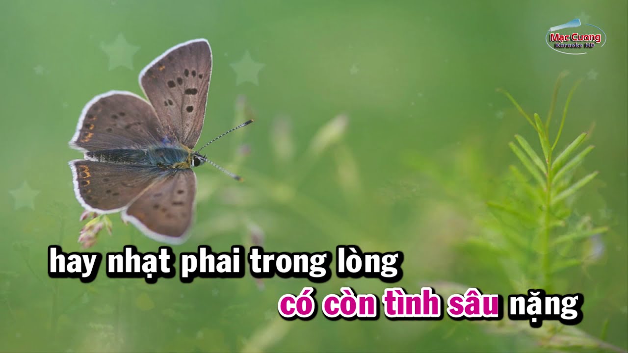 | Karaoke Full Beat | Hai Qu&ecirc; - T&acirc;n Nh&agrave;n ft Thu H&agrave;