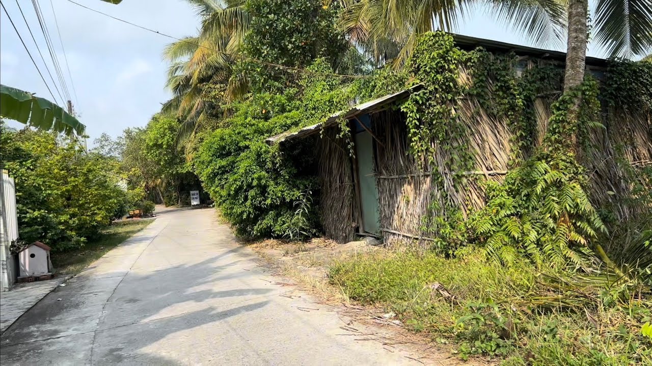 Cuộc Sống Làng Quê Vắng Lặng, Với Căn Nhà Lá Mộc Mạc, Yên Bình Đến Lạ.