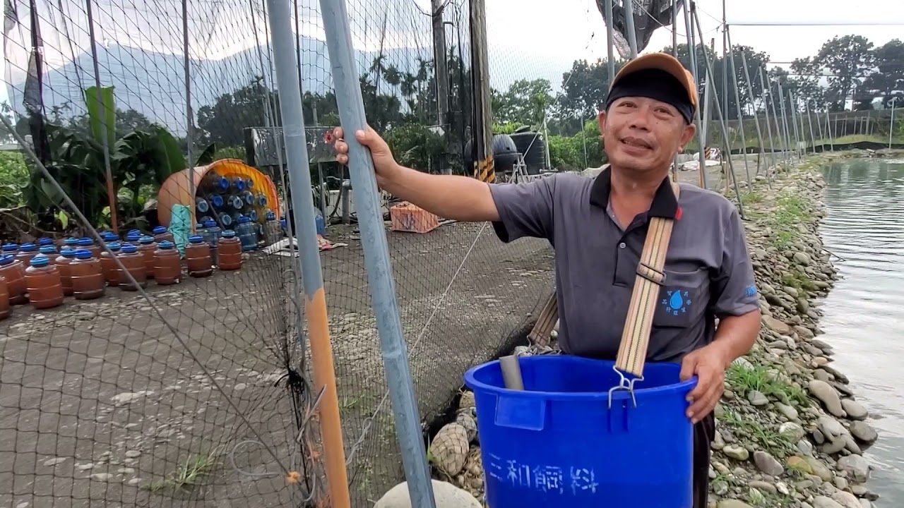 屏東縣高樹鄉《蘇盈瑞-光合菌泰國蝦養殖》試驗池