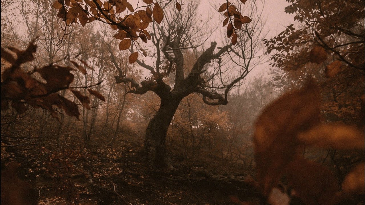 a playlist for living in an eternal autumn
