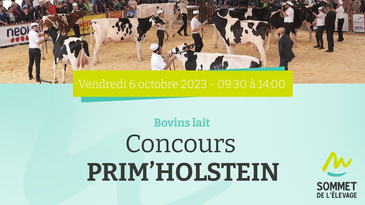 Sommet de l'élevage 2023 - Concours PRIM HOLSTEIN - 06/10/2023