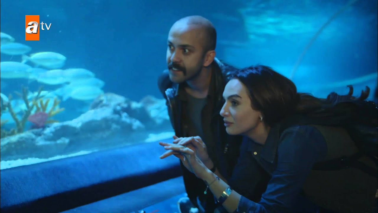Esra ve Murat akvaryumda... - Evli ve Öfkeli 20. Bölüm - atv
