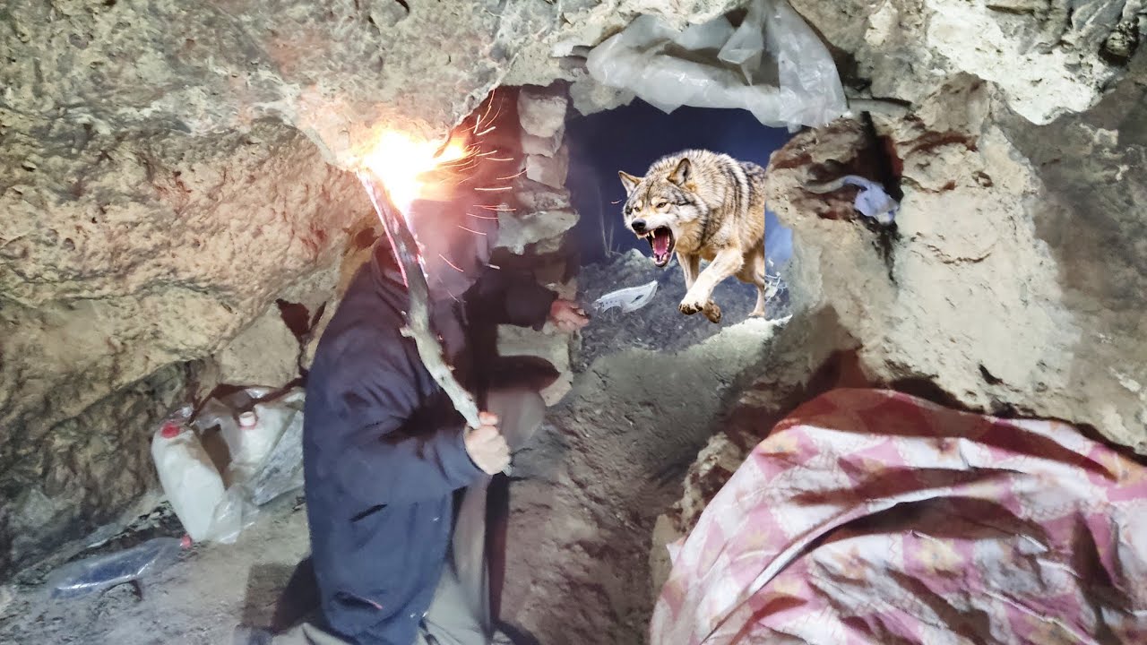 Warm winter shelter in snow and storms, special survival, wolf attack 