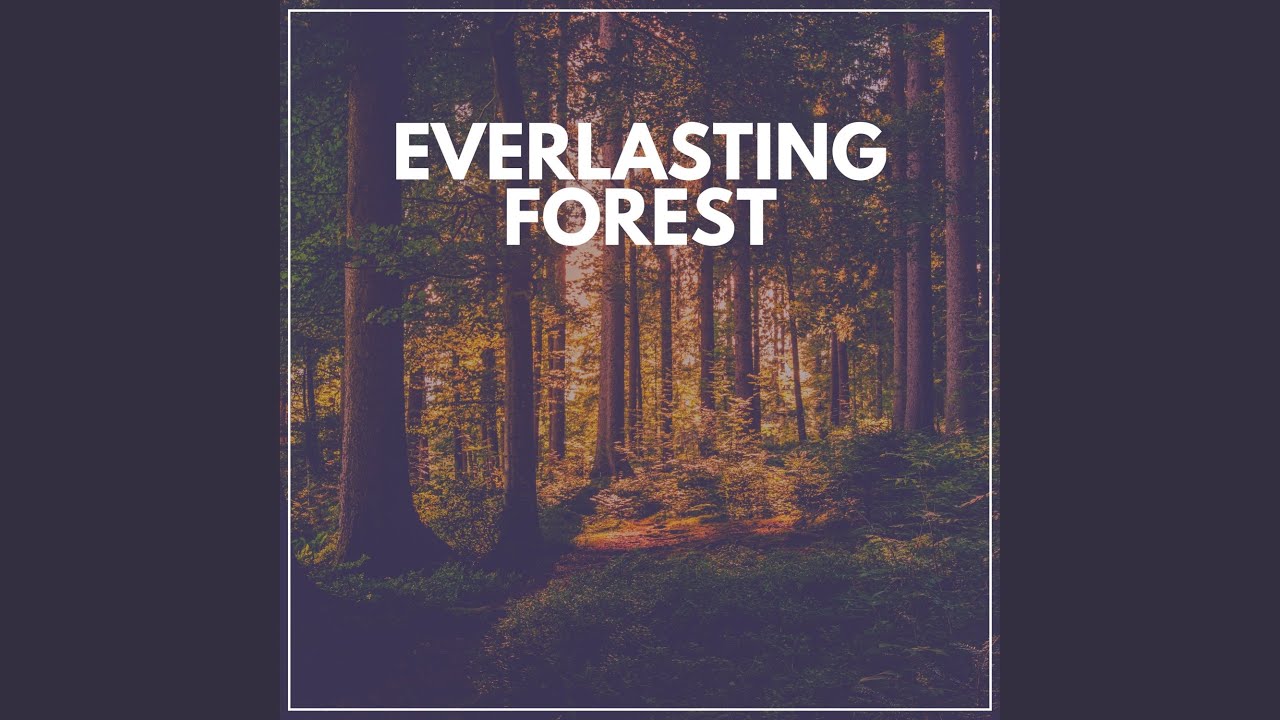 Connect to Environment