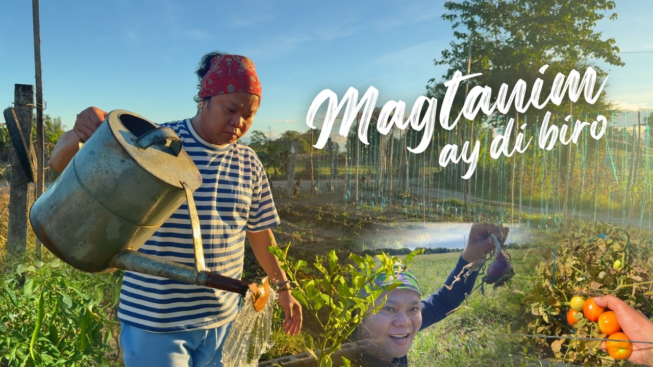 Magtanim ay di Biro, Umani ay Masaya sa Puso | Harvesting Sili,Sitaw,Sibuyas|Buhay Probinsya ni Beki