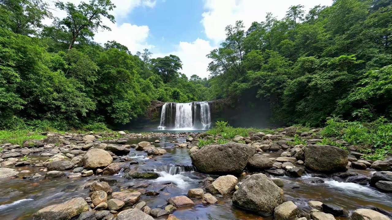 🌬️ Crystal Clear Waterfall Sounds | 12 Hour Live Nature View