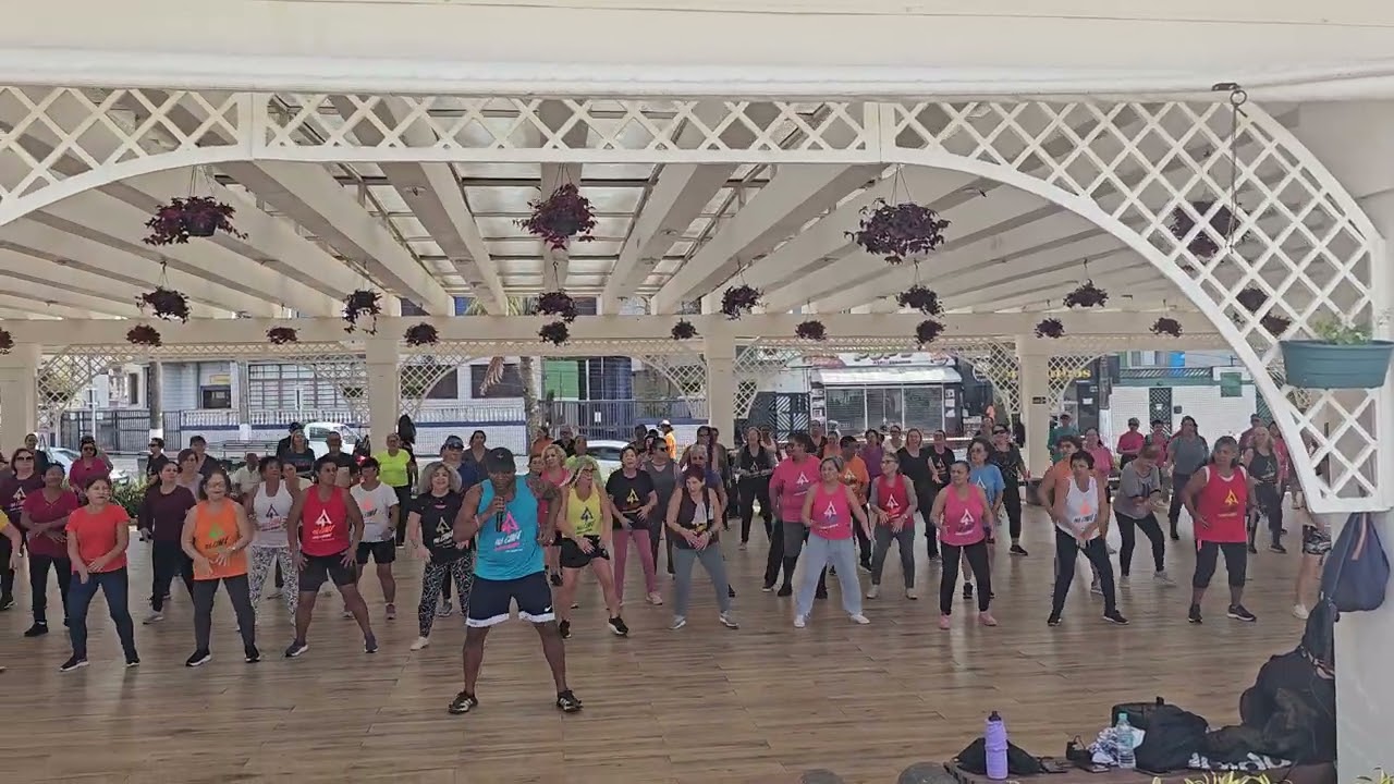 Descarga -  Samba Batucada  ( Coreografia )