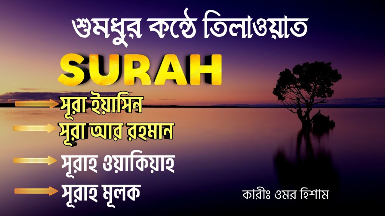শুমধুর কন্ঠে তিলাওয়াত || Surah Yasin,Surah Ar Rahman, Surah Al Waqiah, Surah Mulk || Omar Hisham