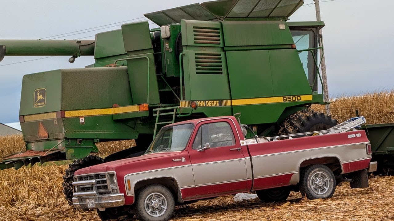 Crunch Time - Corn Harvest
