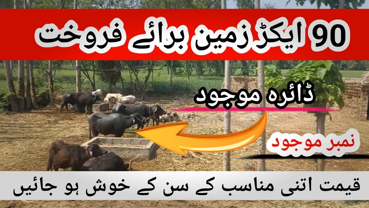 Agriculture land for sale in Punjab Pakistan | land for sale in Pakistan
