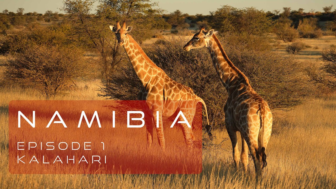 Namibia Roadtrip & Fototour - Episode 1 - Kalahari
