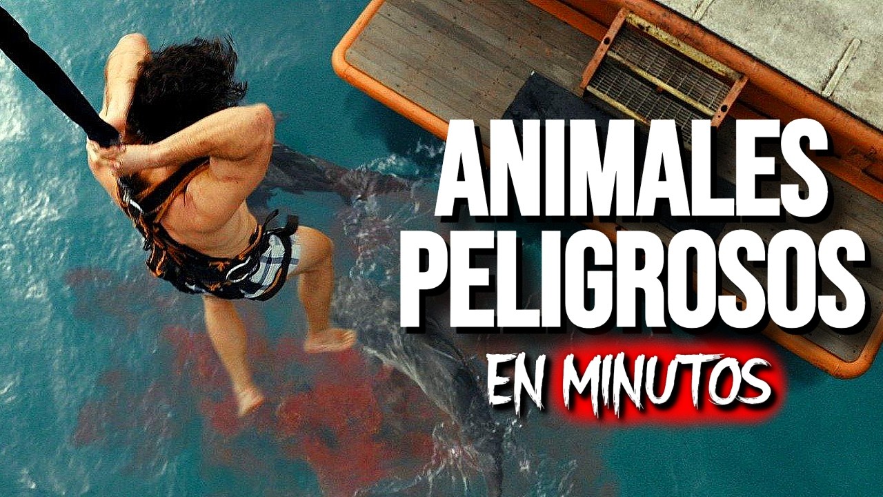 ANIMALES PELIGROSOS (2025) RESUMEN EN MINUTOS