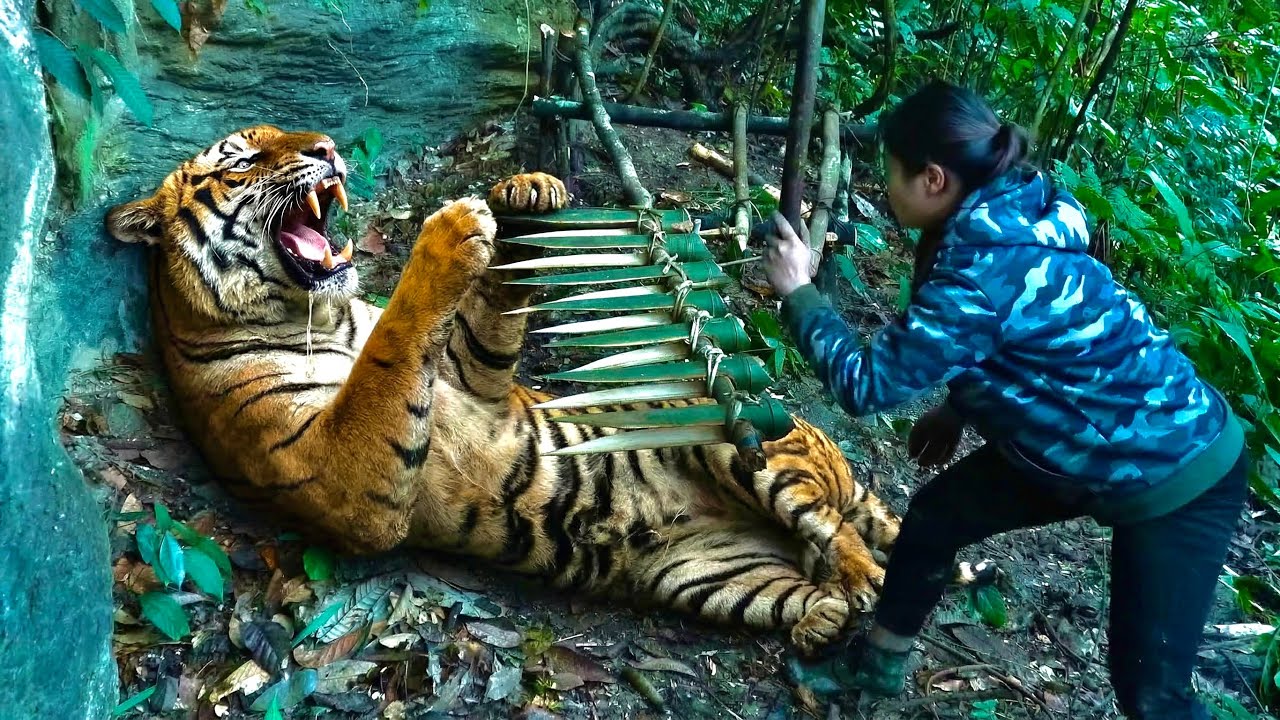 100 DIAS DE SOBREVIVÊNCIA: Posso Roubar o Veado das Garras do Tigre?