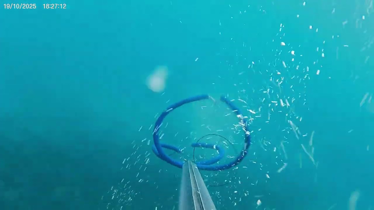 test camera mount lost fish