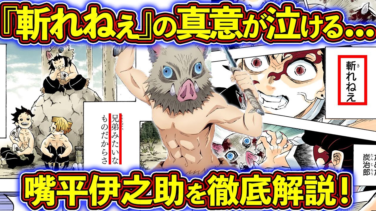 作中屈指の感動シーン！鬼化した炭治郎に言った『斬れねぇ』の真意が泣ける...！ 嘴平伊之助を徹底解説！【鬼滅の刃（きめつのやいば）考察】