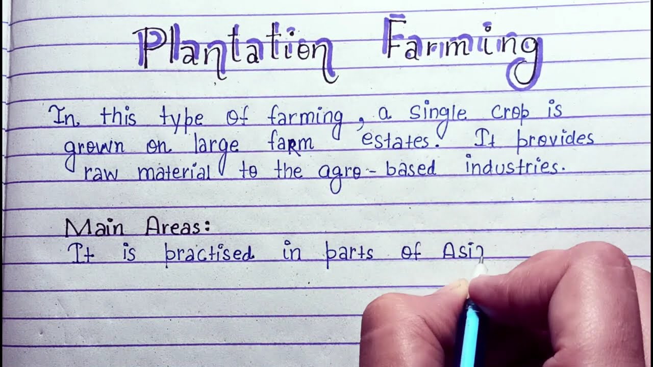 10 lines on Plantation Farming|Characteristics|Importance Of Plantation Farming|Plantation Farming