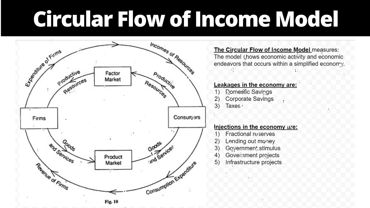 The Circular Flow of Income Model - Graphed & Explained